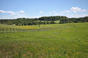 View of Property - Country homes for sale and luxury real estate including horse farms and property in the Caledon and King City areas near Toronto